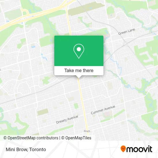 Mini Brow map