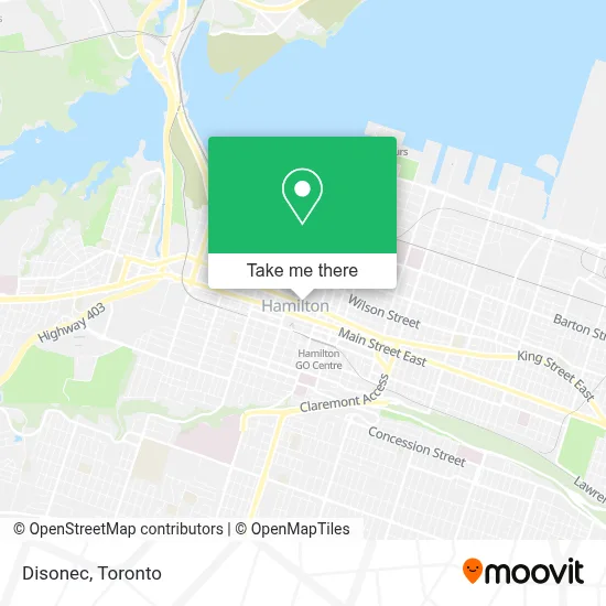 Disonec map