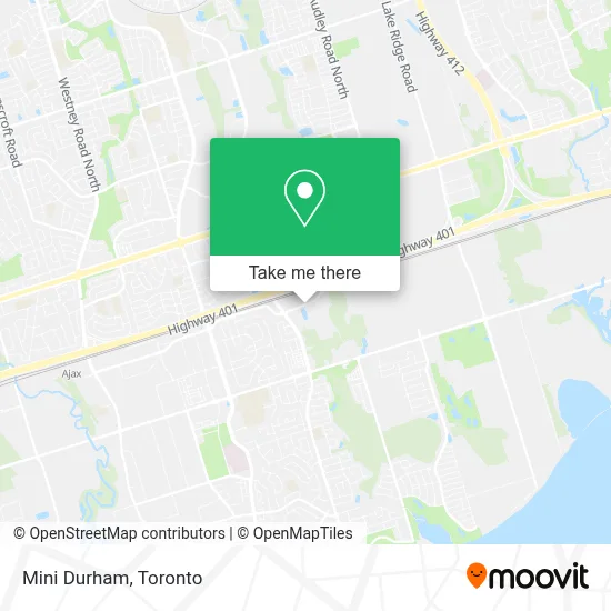 Mini Durham map