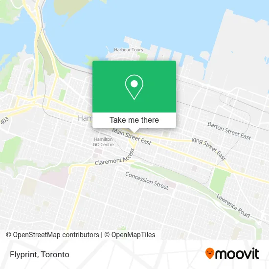 Flyprint map
