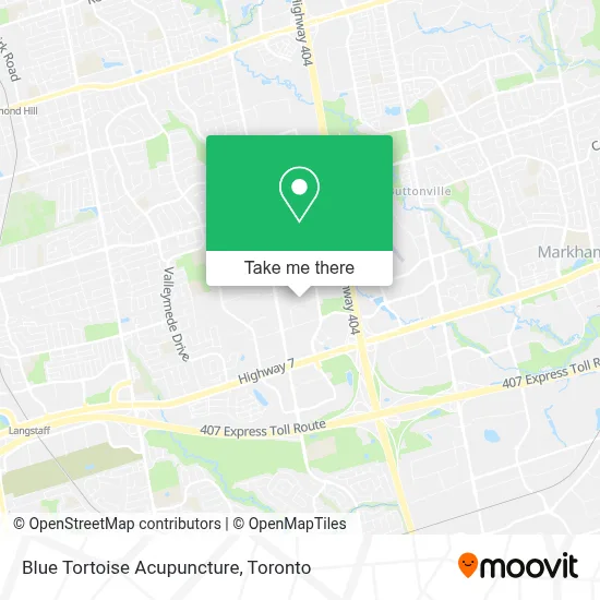 Blue Tortoise Acupuncture map