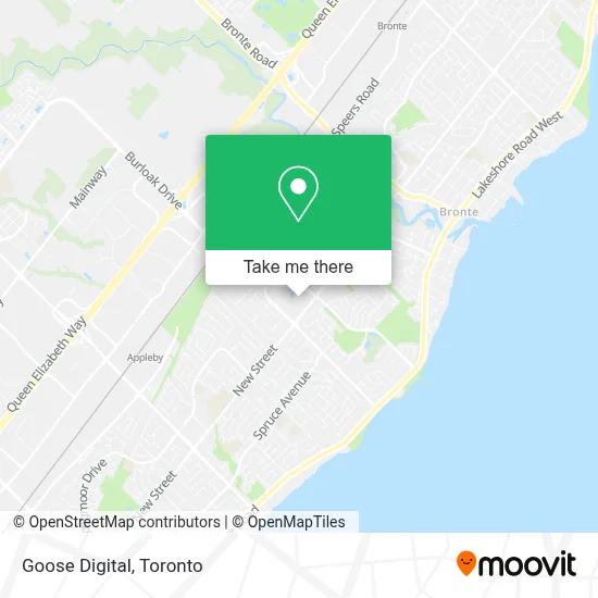 Goose Digital map
