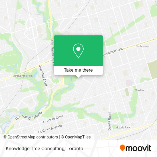 Knowledge Tree Consulting plan