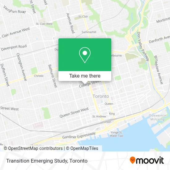 Transition Emerging Study plan