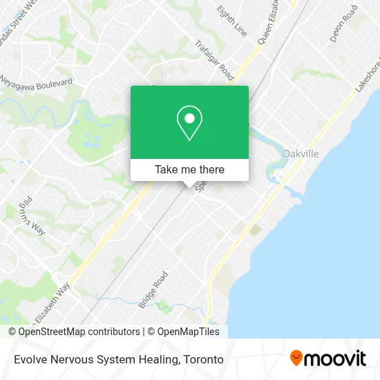 Evolve Nervous System Healing map