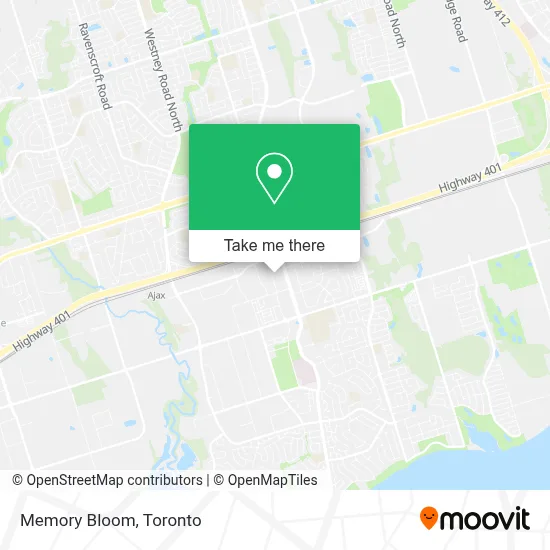 Memory Bloom map