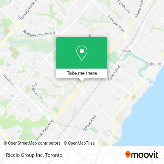 Riccio Group Inc plan