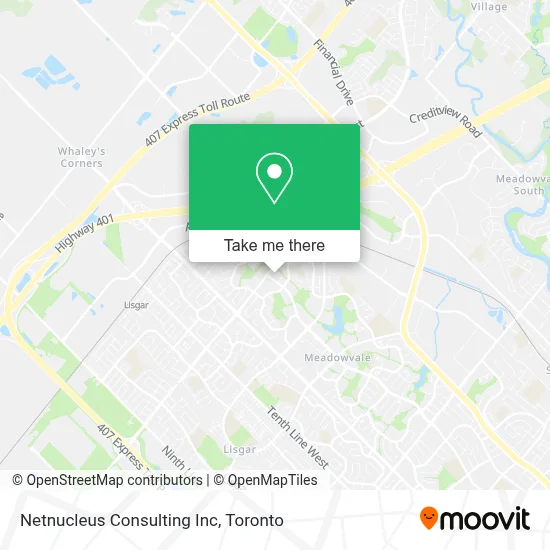 Netnucleus Consulting Inc map