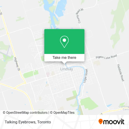 Talking Eyebrows map