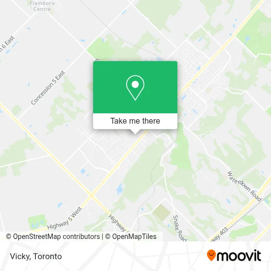 Vicky map