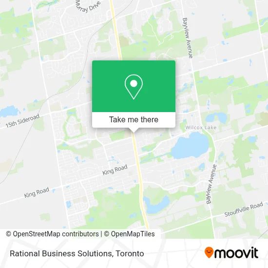Rational Business Solutions plan