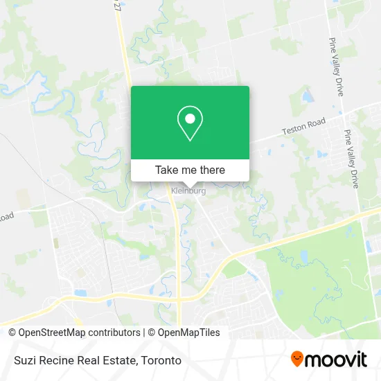 Suzi Recine Real Estate map