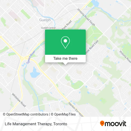 Life Management Therapy map