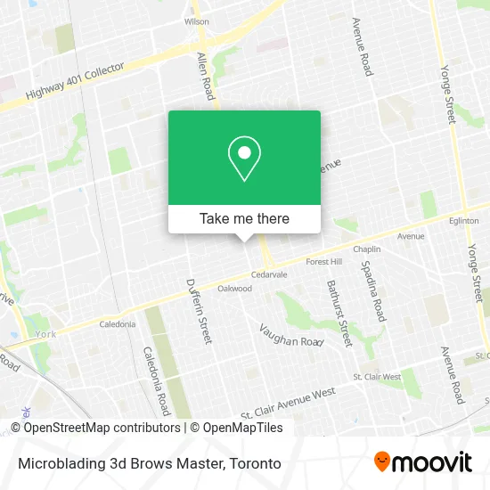 Microblading 3d Brows Master plan