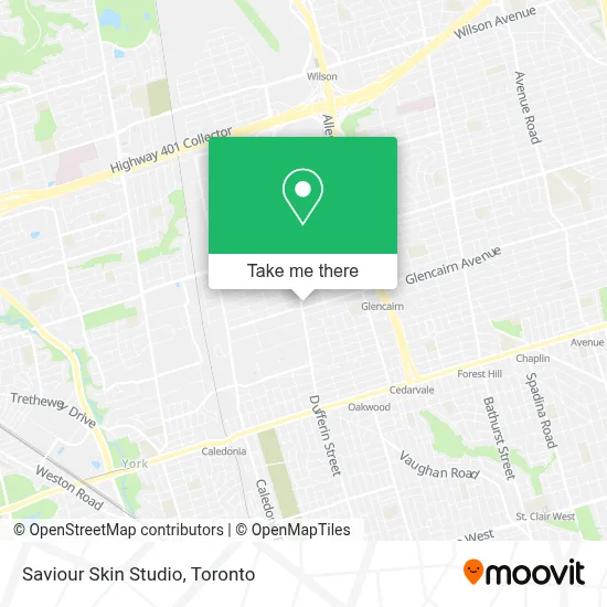 Saviour Skin Studio map