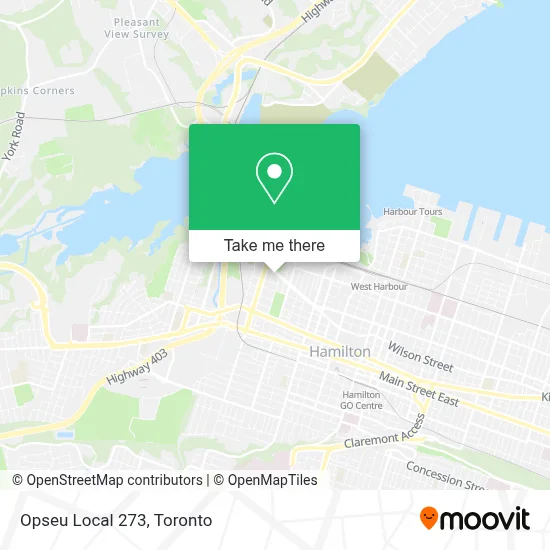 Opseu Local 273 map