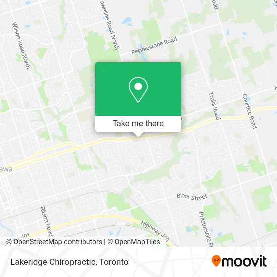 Lakeridge Chiropractic plan