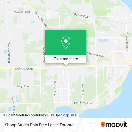 Shoop Studio Pain Free Laser map