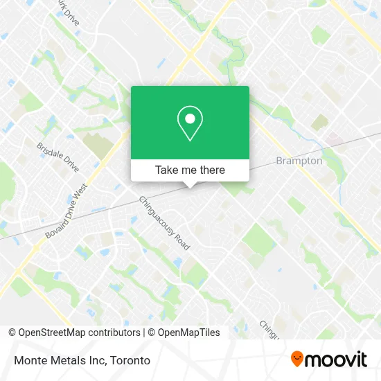 Monte Metals Inc map