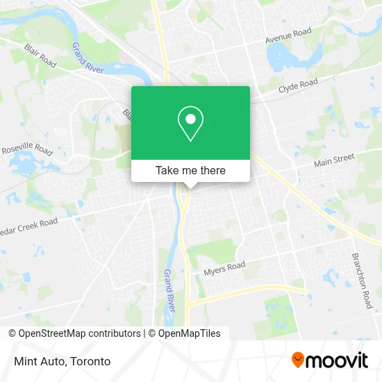 Mint Auto map