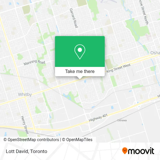 Lott David map