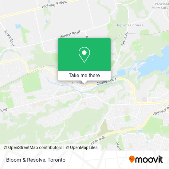 Bloom & Resolve map