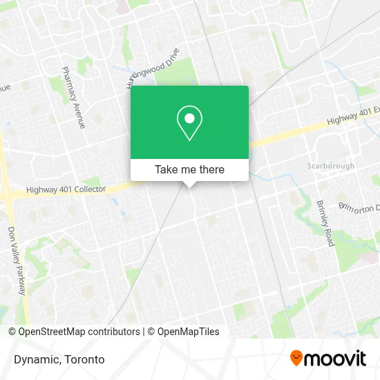 Dynamic map