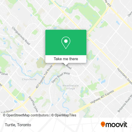 Turtle map