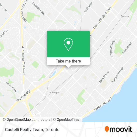 Castelli Realty Team map