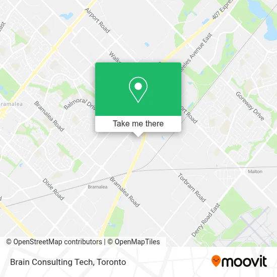 Brain Consulting Tech map