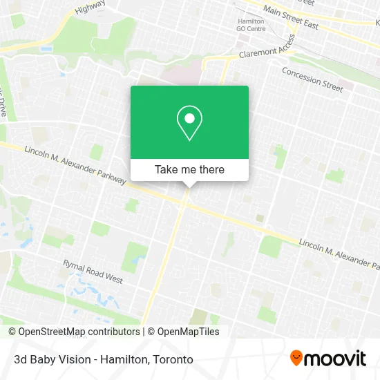 3d Baby Vision - Hamilton map