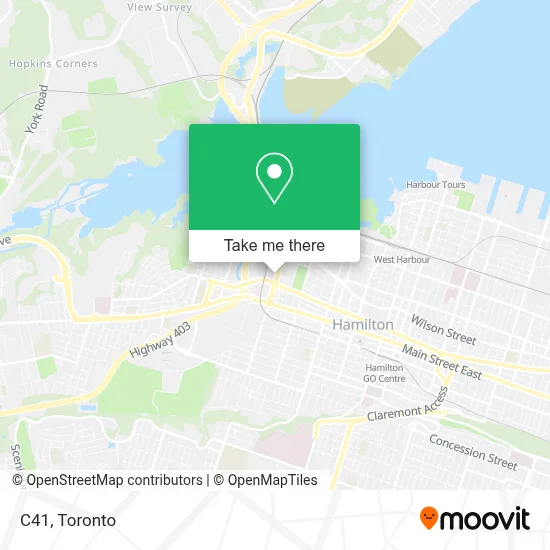 C41 map