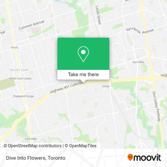 Dive Into Flowers map