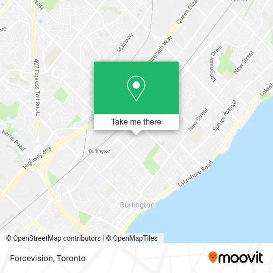 Forcevision map