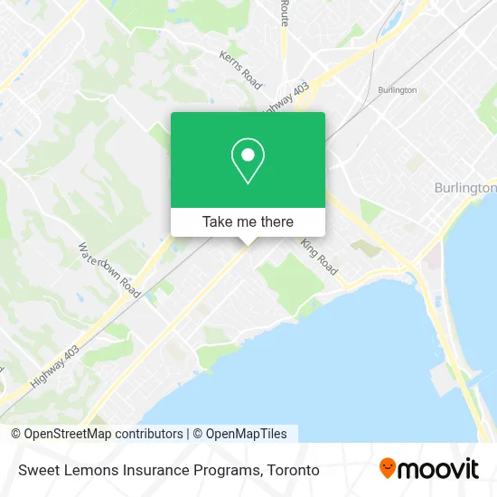 Sweet Lemons Insurance Programs plan