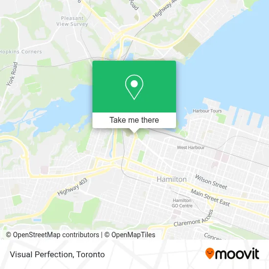 Visual Perfection map