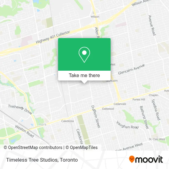 Timeless Tree Studios map