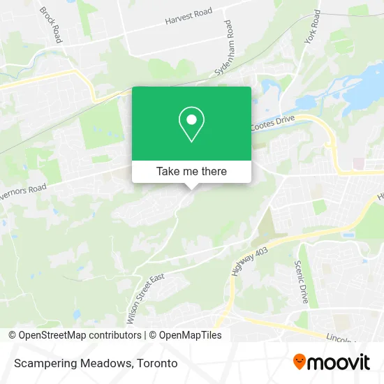 Scampering Meadows map