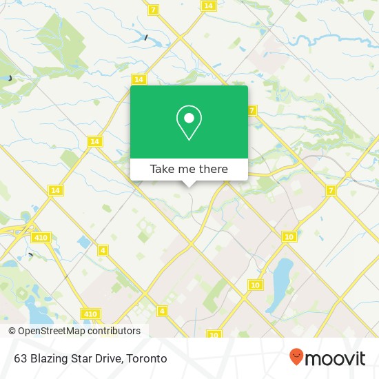 63 Blazing Star Drive map