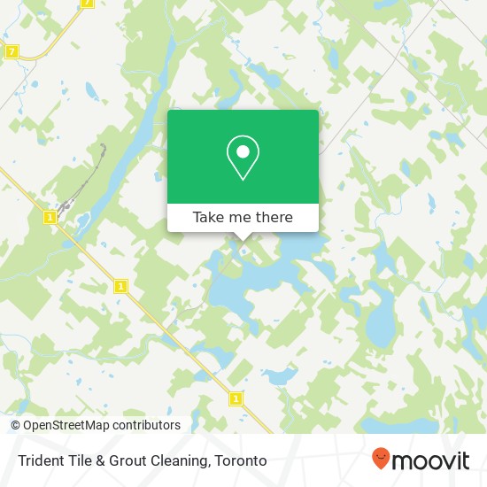 Trident Tile & Grout Cleaning map