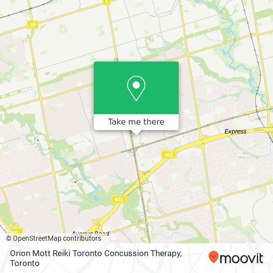 Orion Mott Reiki Toronto Concussion Therapy plan