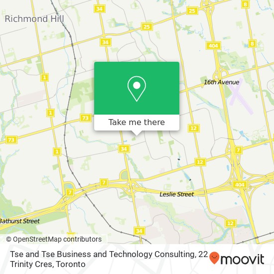 Tse and Tse Business and Technology Consulting, 22 Trinity Cres map
