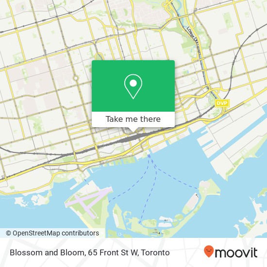 Blossom and Bloom, 65 Front St W map