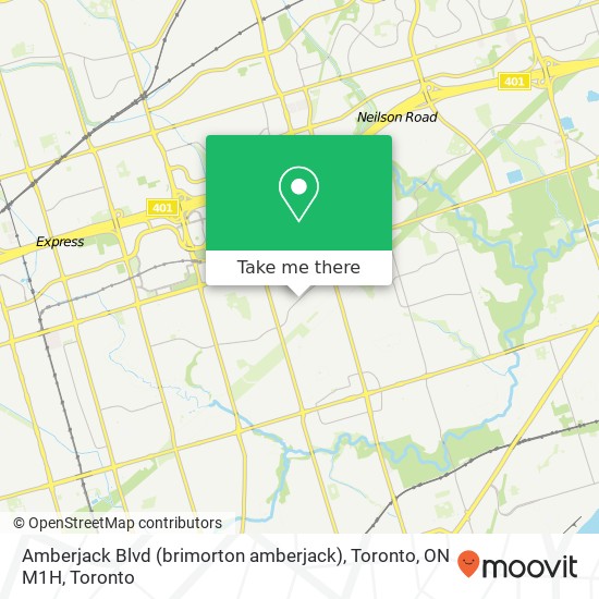 Amberjack Blvd (brimorton amberjack), Toronto, ON M1H map