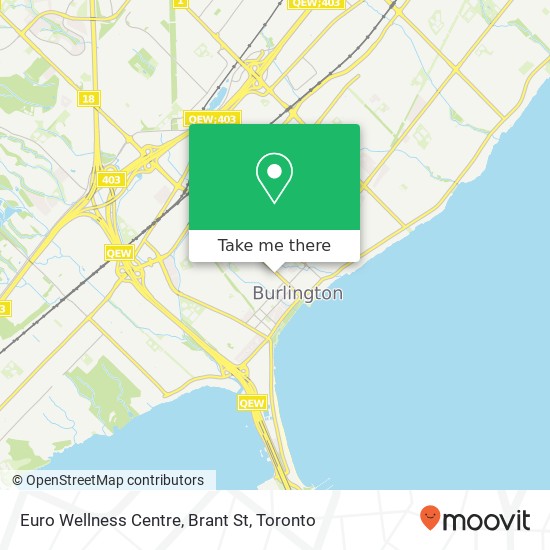 Euro Wellness Centre, Brant St map