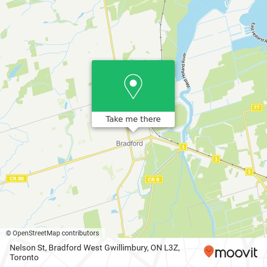 Nelson St, Bradford West Gwillimbury, ON L3Z map