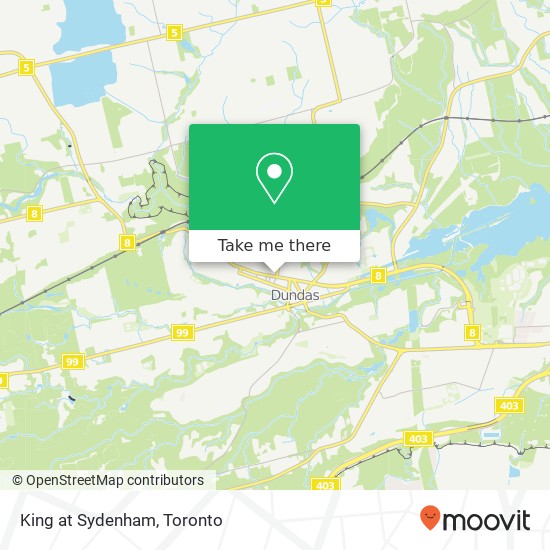 King at Sydenham map