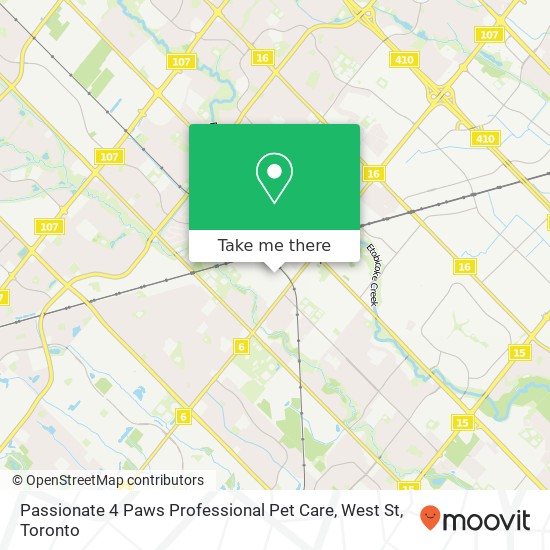 Passionate 4 Paws Professional Pet Care, West St map