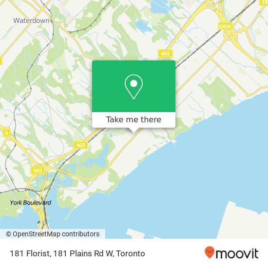 181 Florist, 181 Plains Rd W map