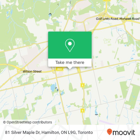 81 Silver Maple Dr, Hamilton, ON L9G map